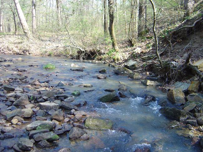 A stream in the Ouachita National Forest